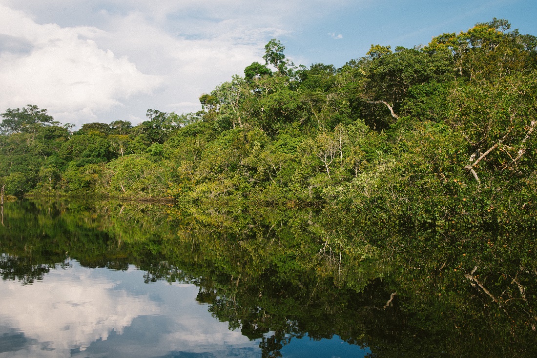 Amazonia