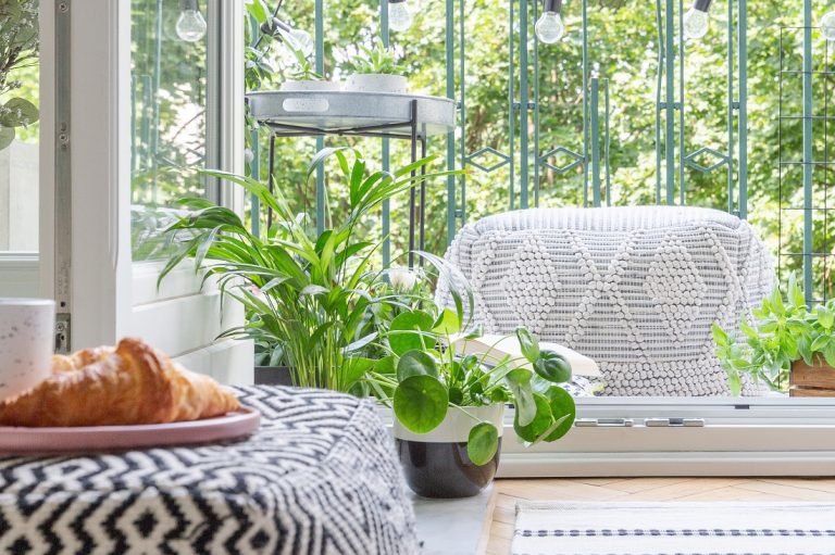 ambiente restaurador