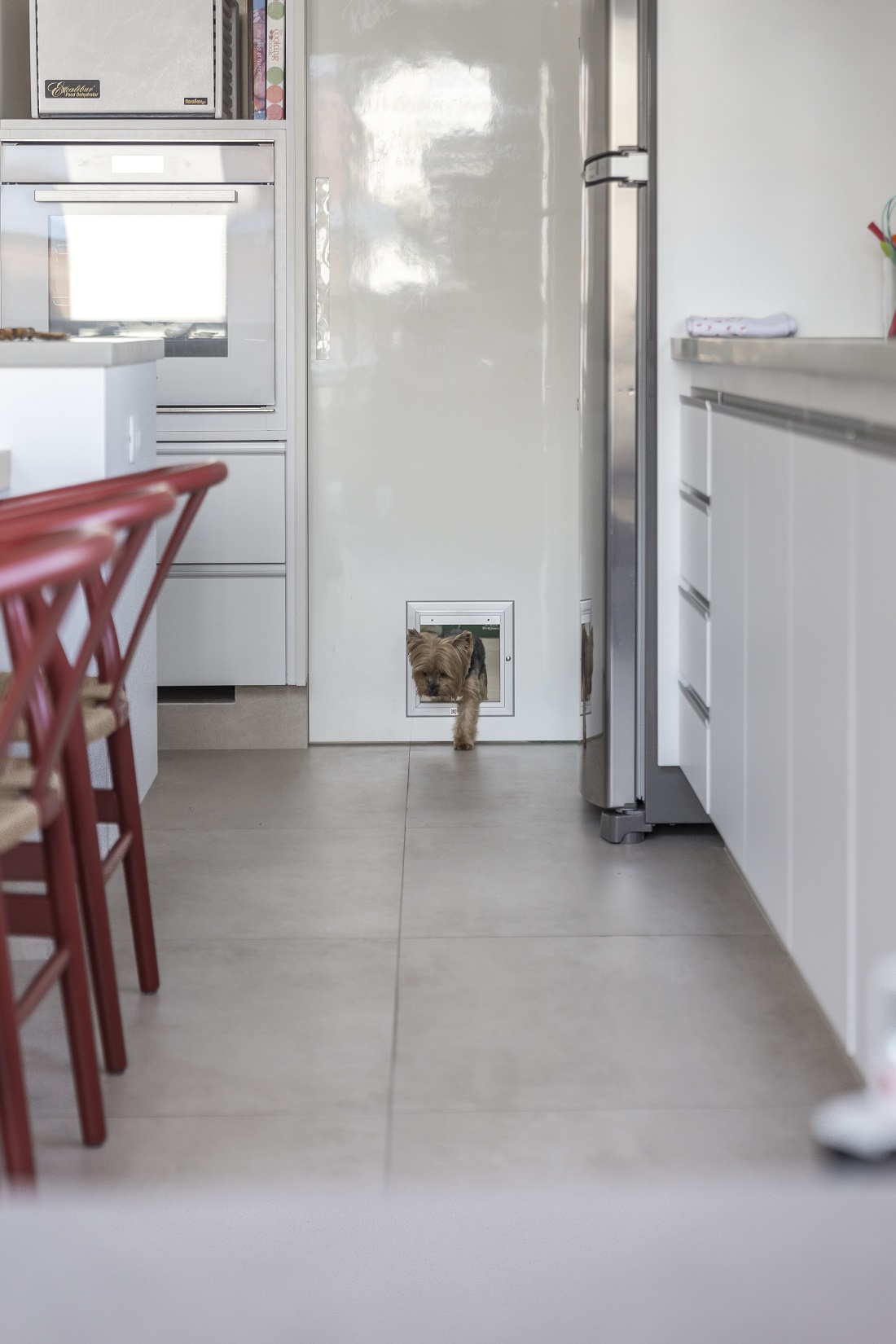 porta adaptada para o pet