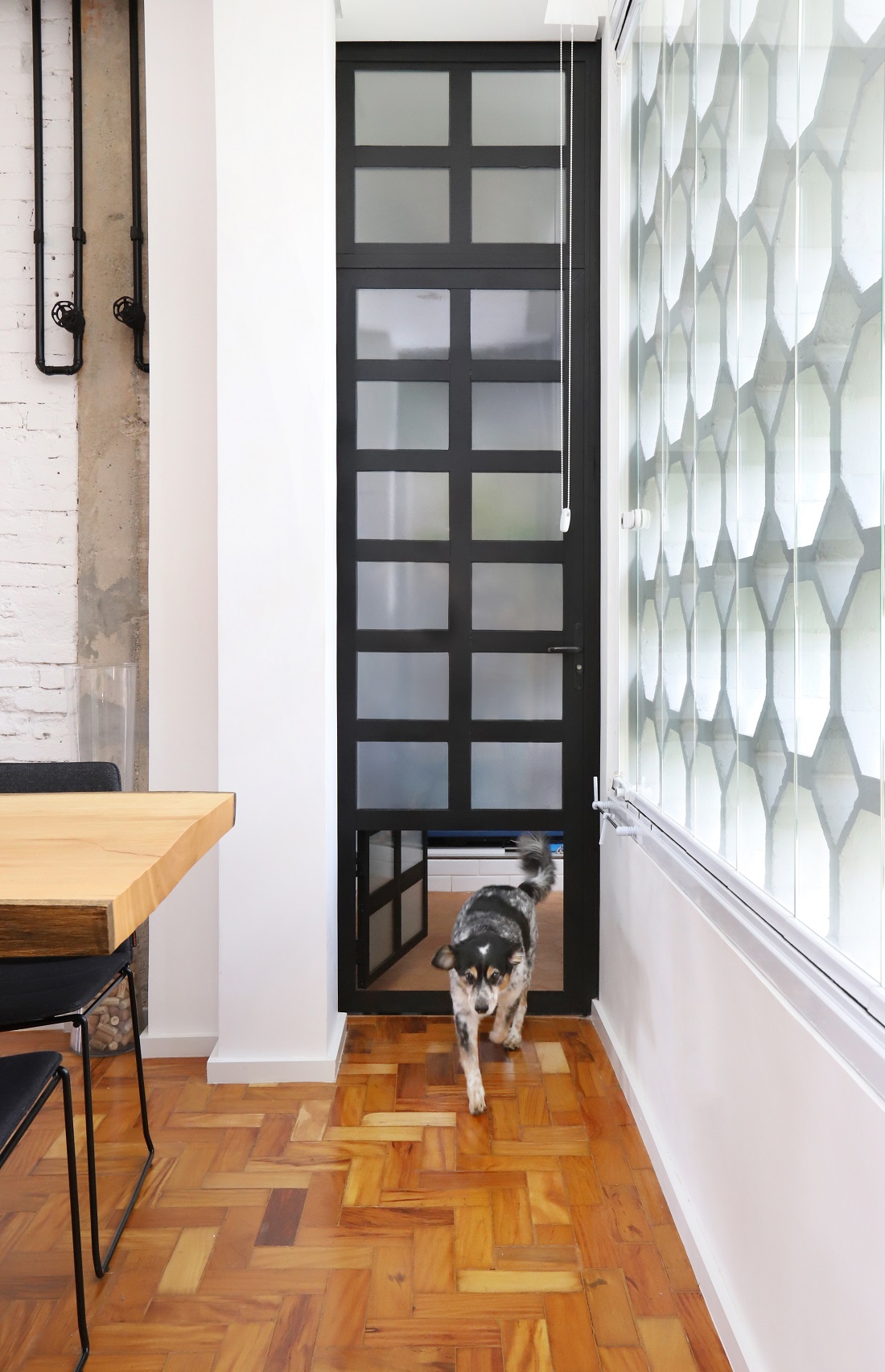 passagem para pet na porta